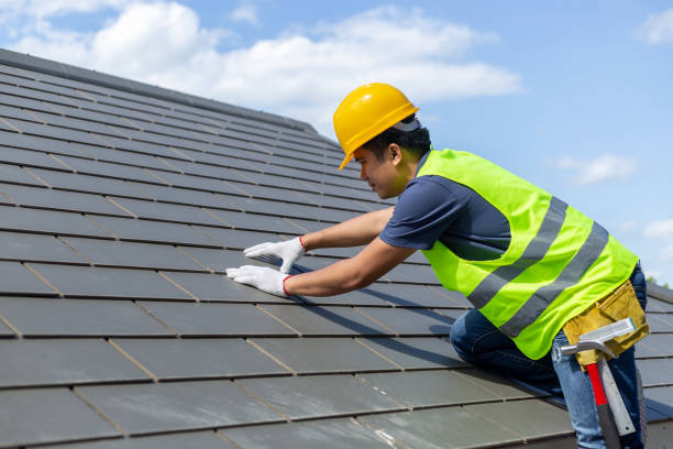 Best Roof Gutter Cleaning  in Munster, IN