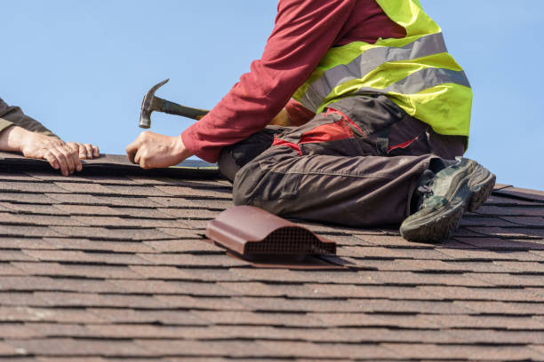Best Roof Leak Repair  in Munster, IN